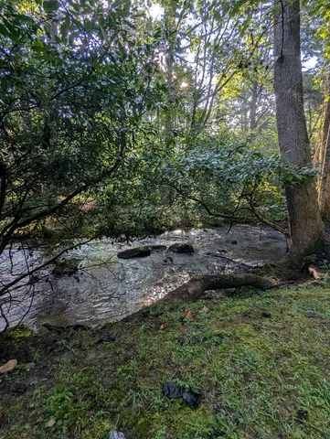 $1,000,000 | 86 Tipton Court, Cherry Log, GA 30522