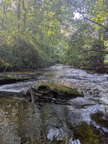 $1,000,000 | 86 Tipton Court, Cherry Log, GA 30522