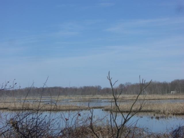 2 6 6 Mile Road Battle Creek, MI 49017 - Photo 3 of 10