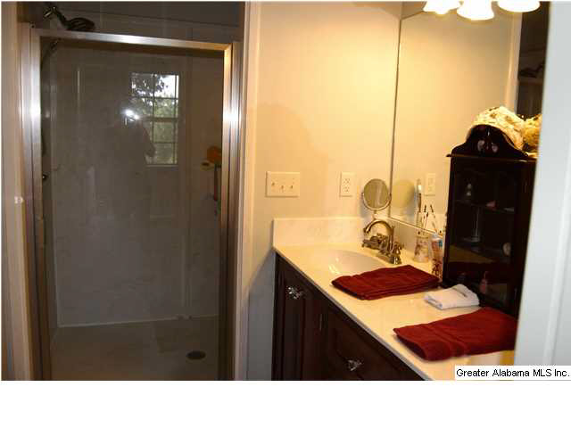 231 Westwood Estate Drive Empire, AL 35063 - Photo 13 of 25