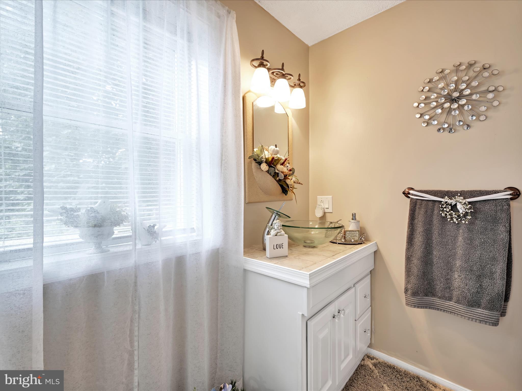 742 Power Road Manheim, PA 17545 - Photo 25 of 56 a bathroom with a sink a mirror and a shower