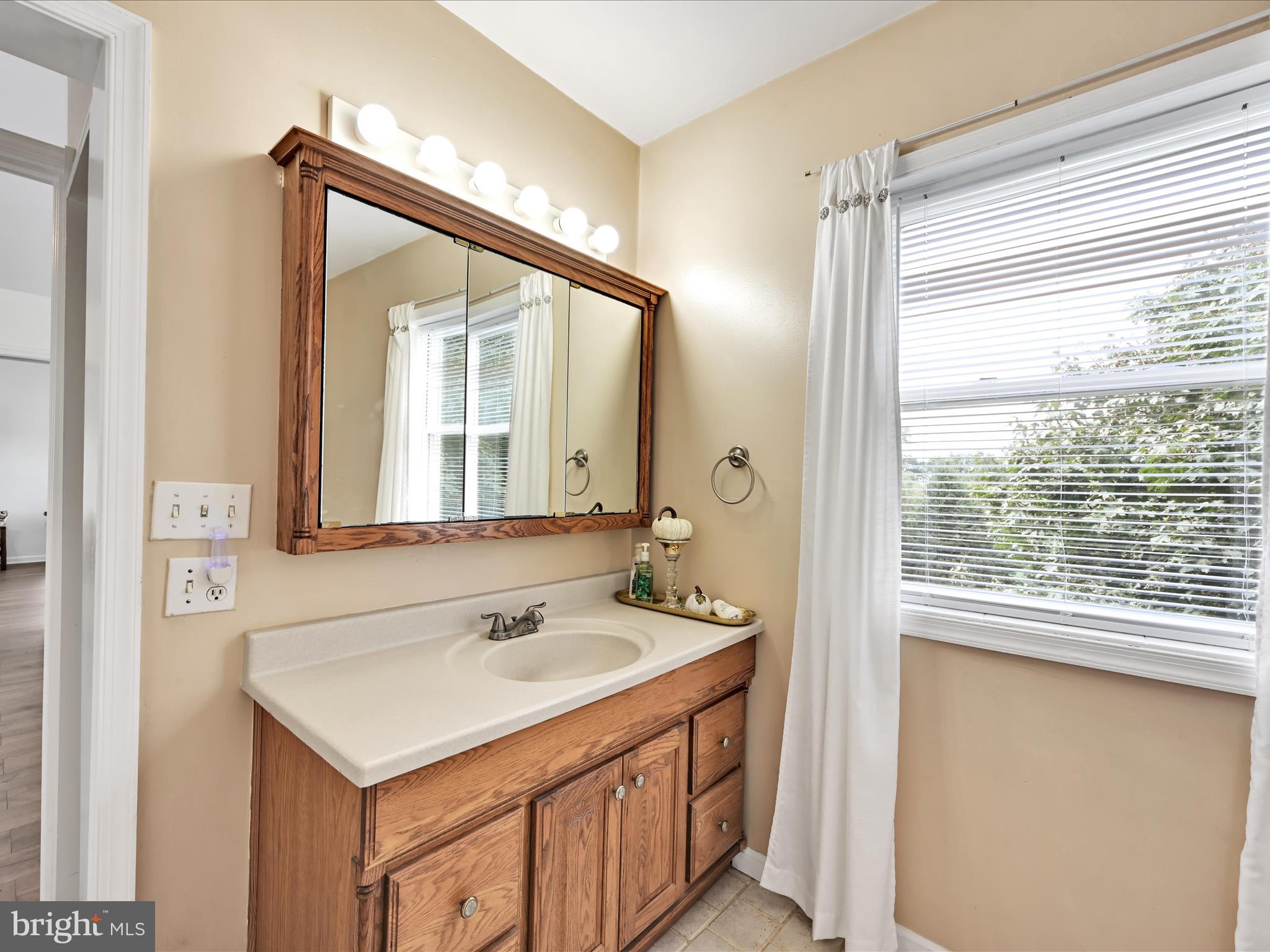 742 Power Road Manheim, PA 17545 - Photo 28 of 56 a bathroom with a sink mirror and a window