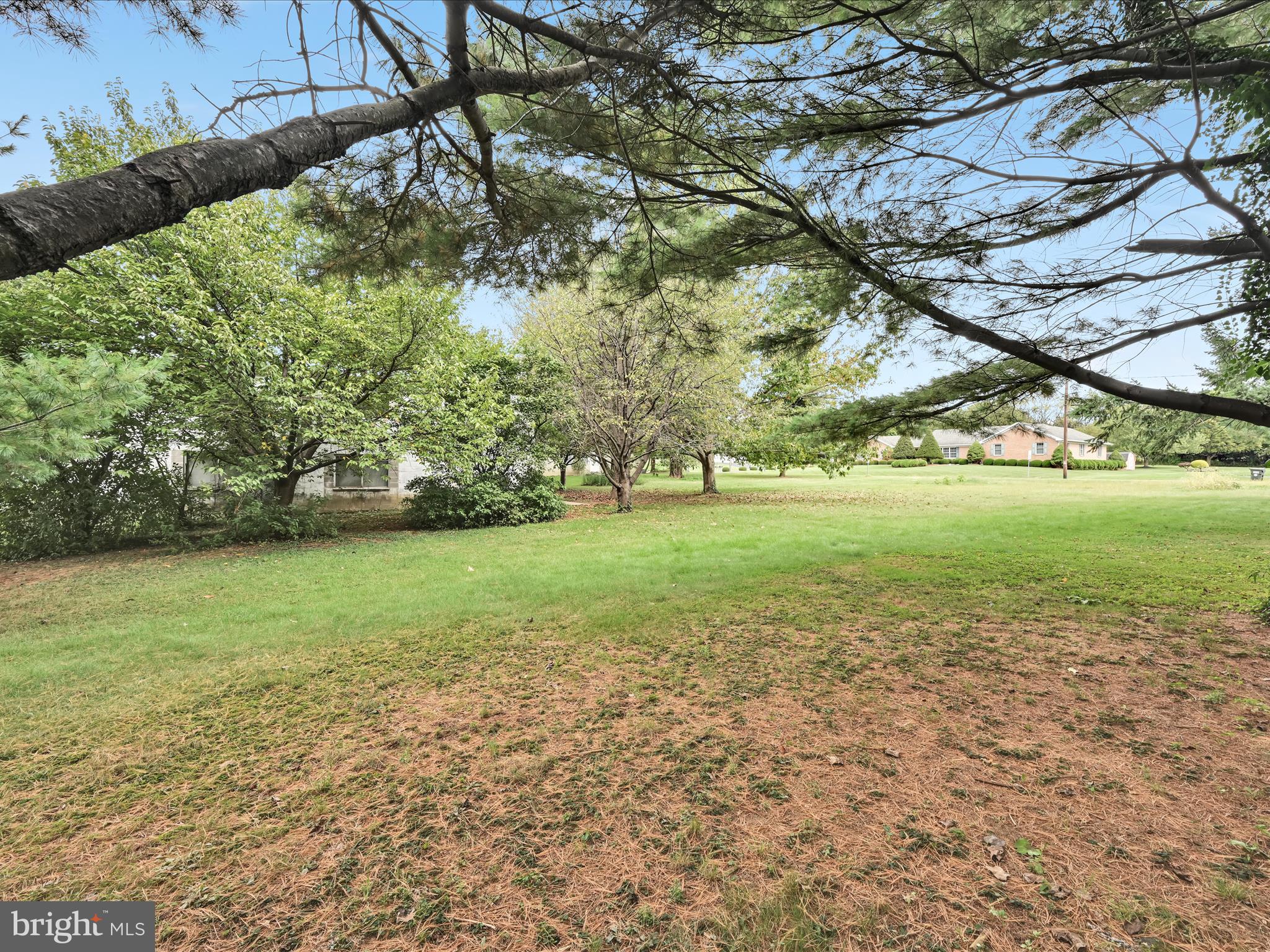 742 Power Road Manheim, PA 17545 - Photo 50 of 56 a view of a field with grass and a tree