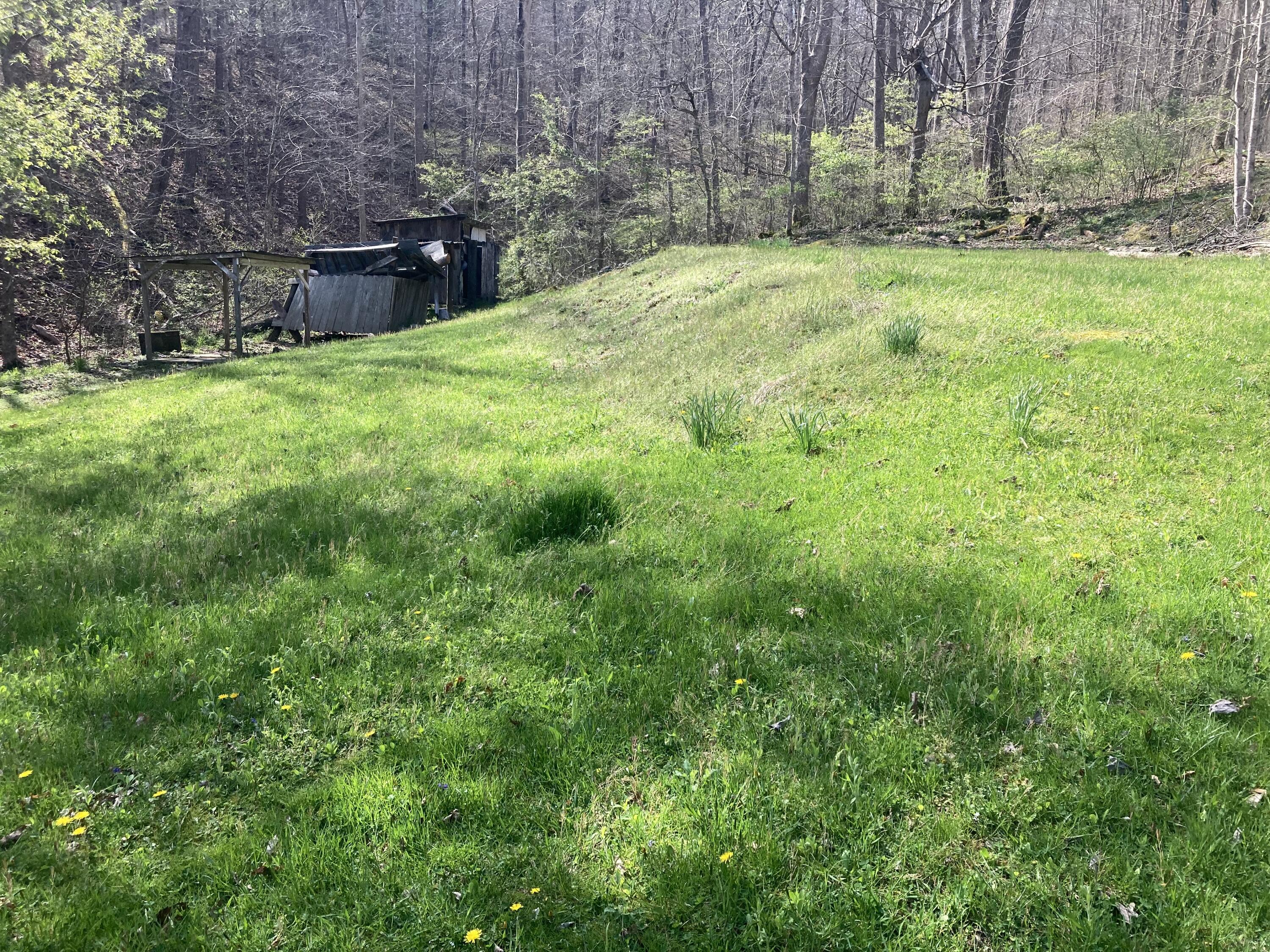 972 Walkers Branch Road Sandgap, KY 40481 - Photo 5 of 11 image_50737409
