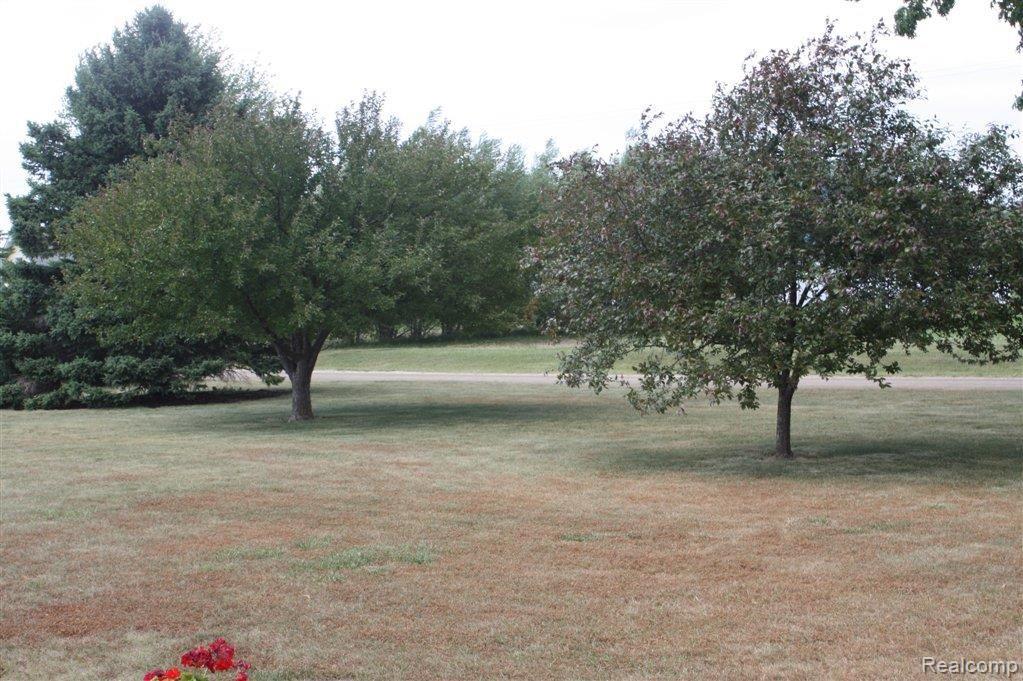 14667 Sharrard Road Allenton, MI 48002 - Photo 13 of 25 Front Yard.JPG