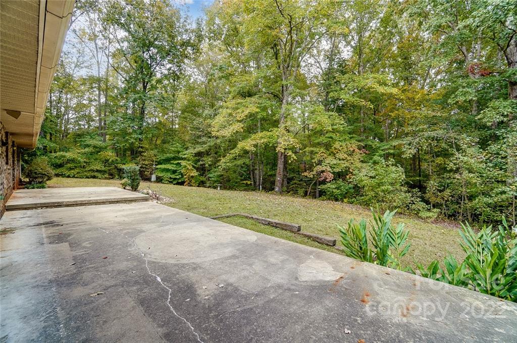 5618 Davis Road Waxhaw, NC 28173 - Photo 31 of 41 a view of a yard with plants and trees