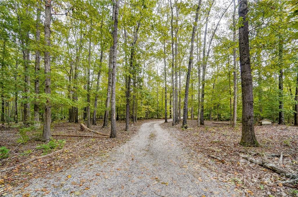 5618 Davis Road Waxhaw, NC 28173 - Photo 39 of 41 a view of a forest with trees in the background
