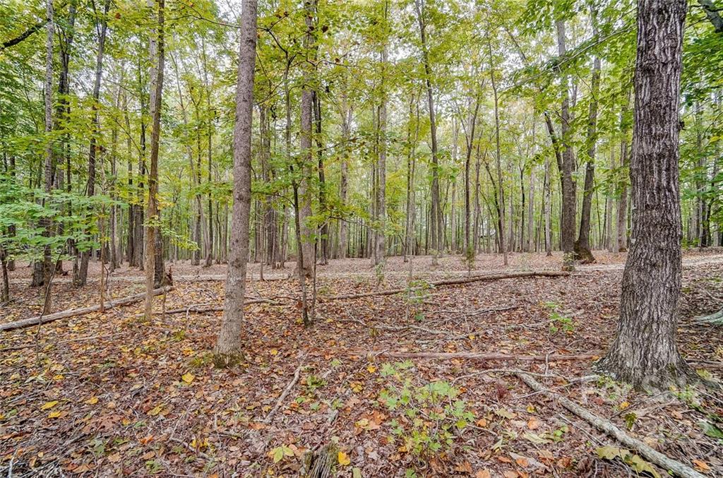 5618 Davis Road Waxhaw, NC 28173 - Photo 40 of 41 a view of outdoor space with trees