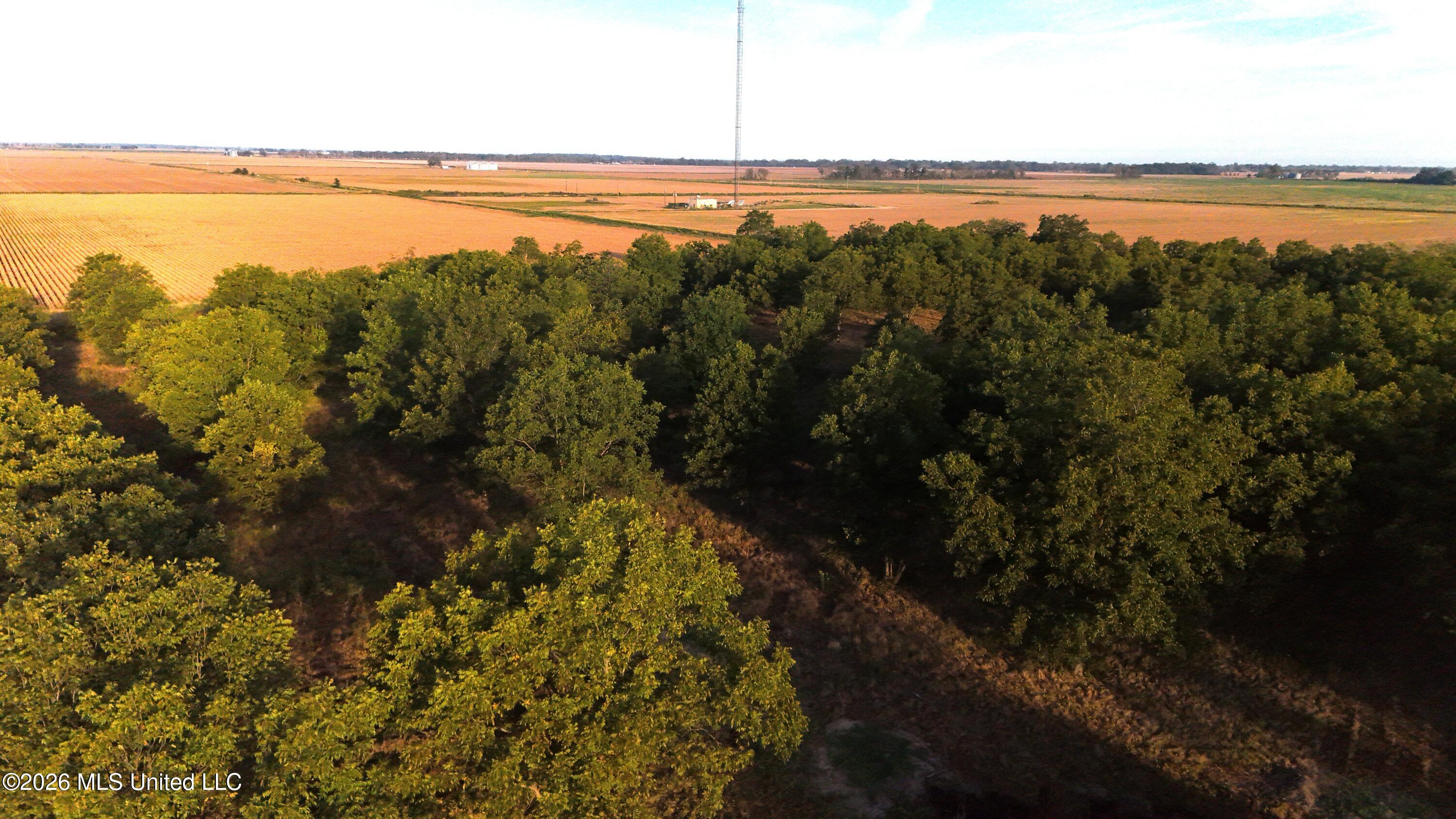 Interstate Road Shaw, MS 38773 - Photo 13 of 31 DJI_20260924090313_0622_D