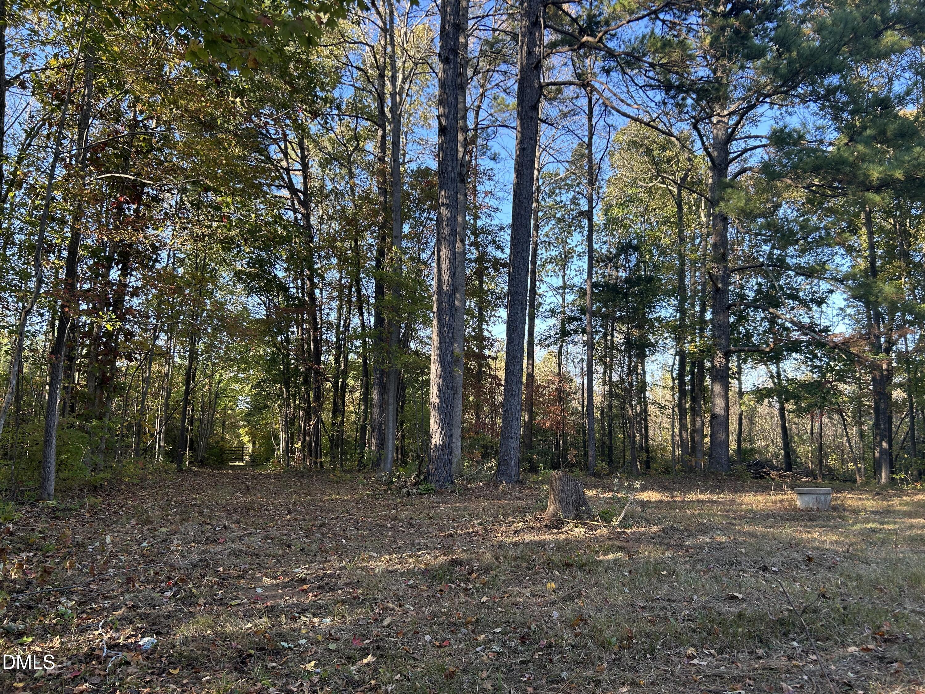 1539 Schloss Road Louisburg, NC 27549 - Photo 6 of 10 a view of outdoor space with tree s