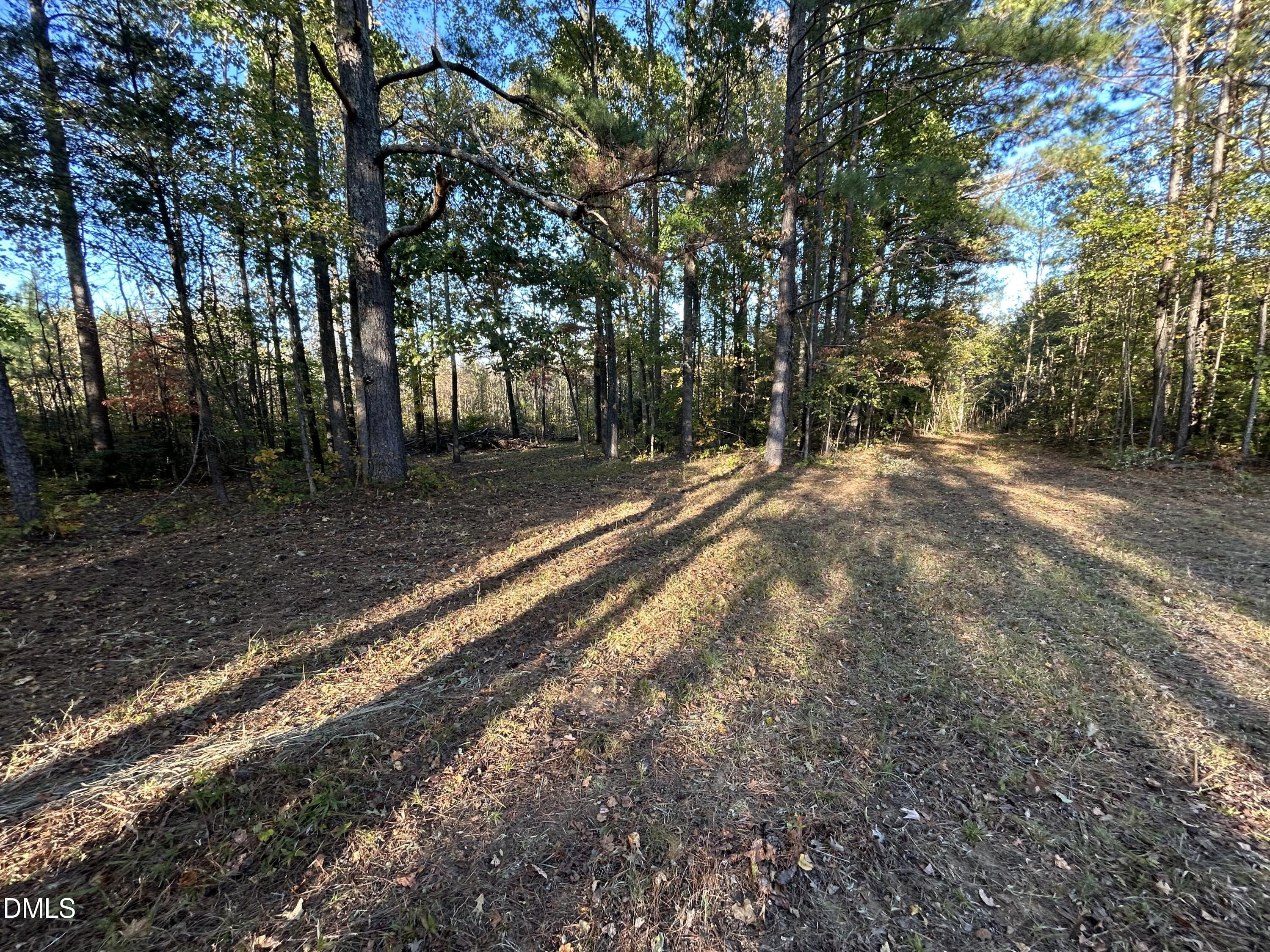 1539 Schloss Road Louisburg, NC 27549 - Photo 7 of 10 a view of a yard with large trees