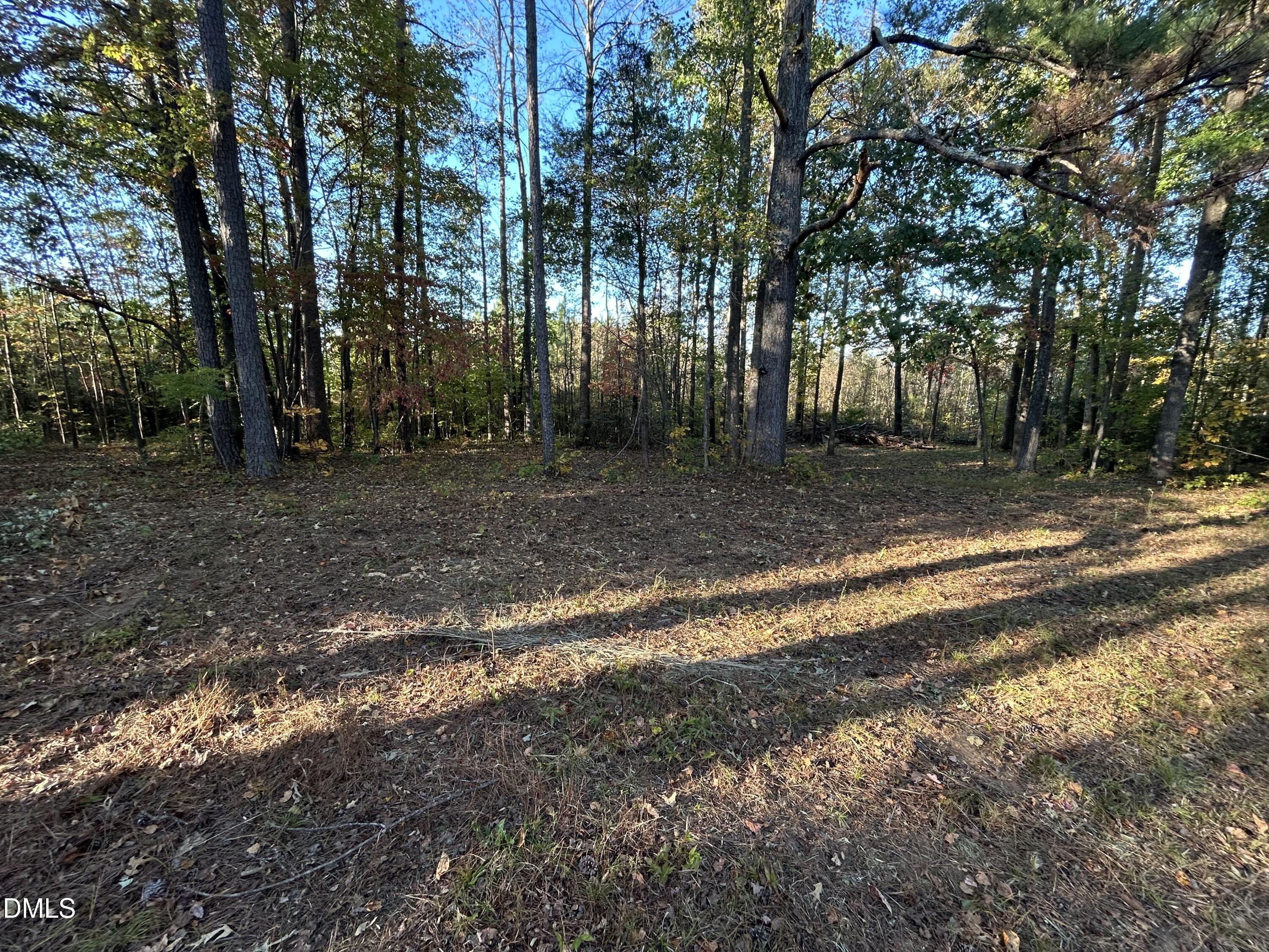 1539 Schloss Road Louisburg, NC 27549 - Photo 8 of 10 a view of a yard with trees