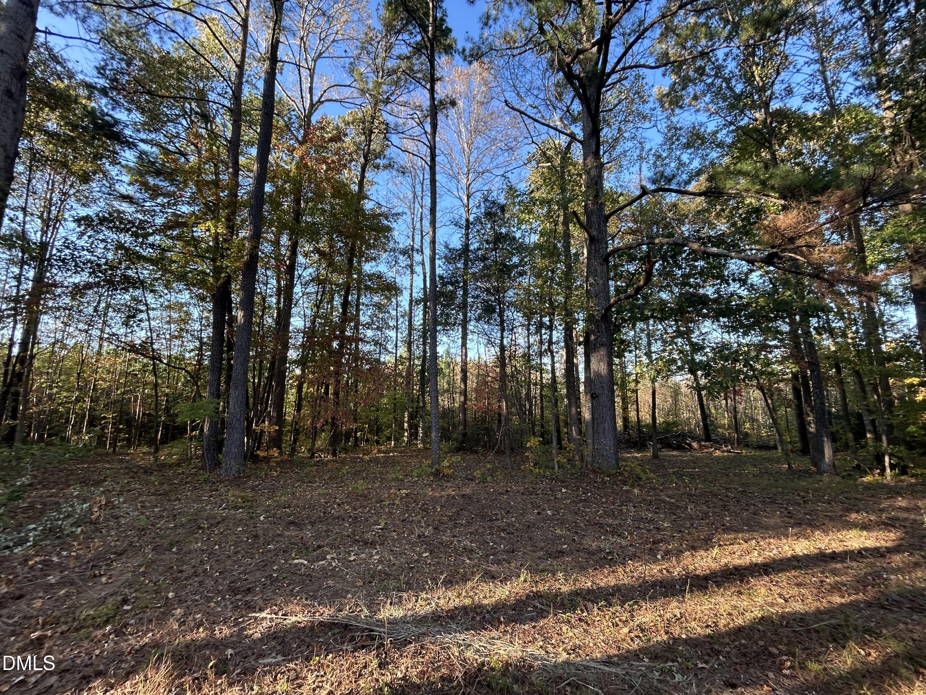 1539 Schloss Road Louisburg, NC 27549 - Photo 9 of 10 a backyard of a house with lots of green space