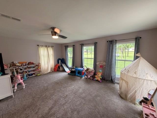 12945 Dawson Springs Road Crofton, KY 42217 - Photo 24 of 38