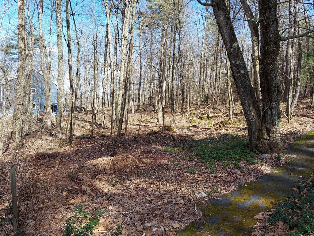 55 Secret Lake Road Phillipston, MA 01331 - Photo 23 of 34