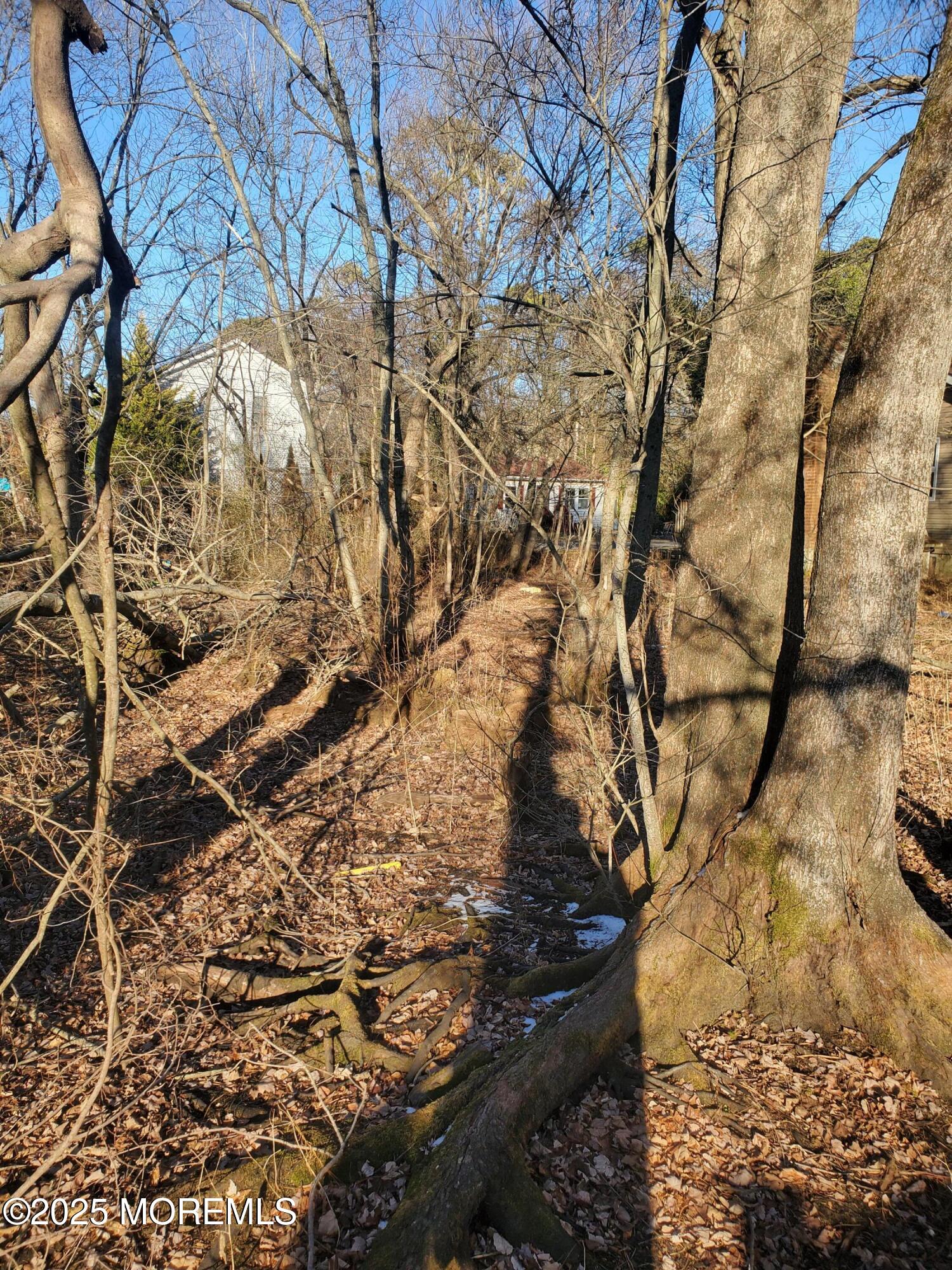 12 Mizzen Way Waretown, NJ 08758 - Photo 9 of 14 20250127_152332