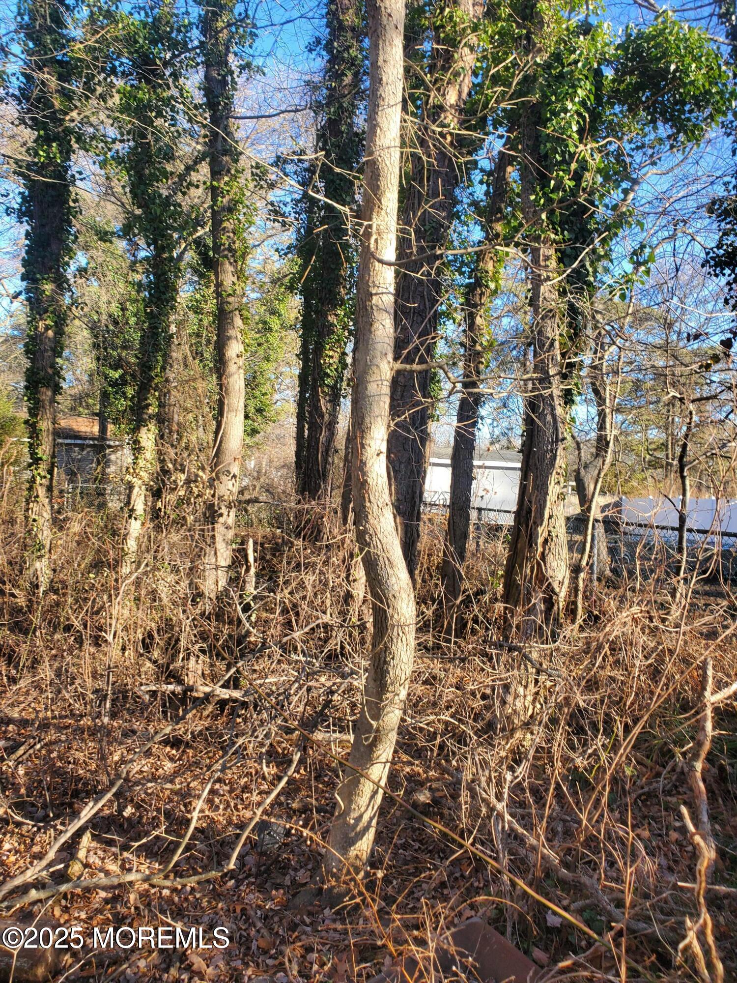 12 Mizzen Way Waretown, NJ 08758 - Photo 10 of 14 20250127_152300