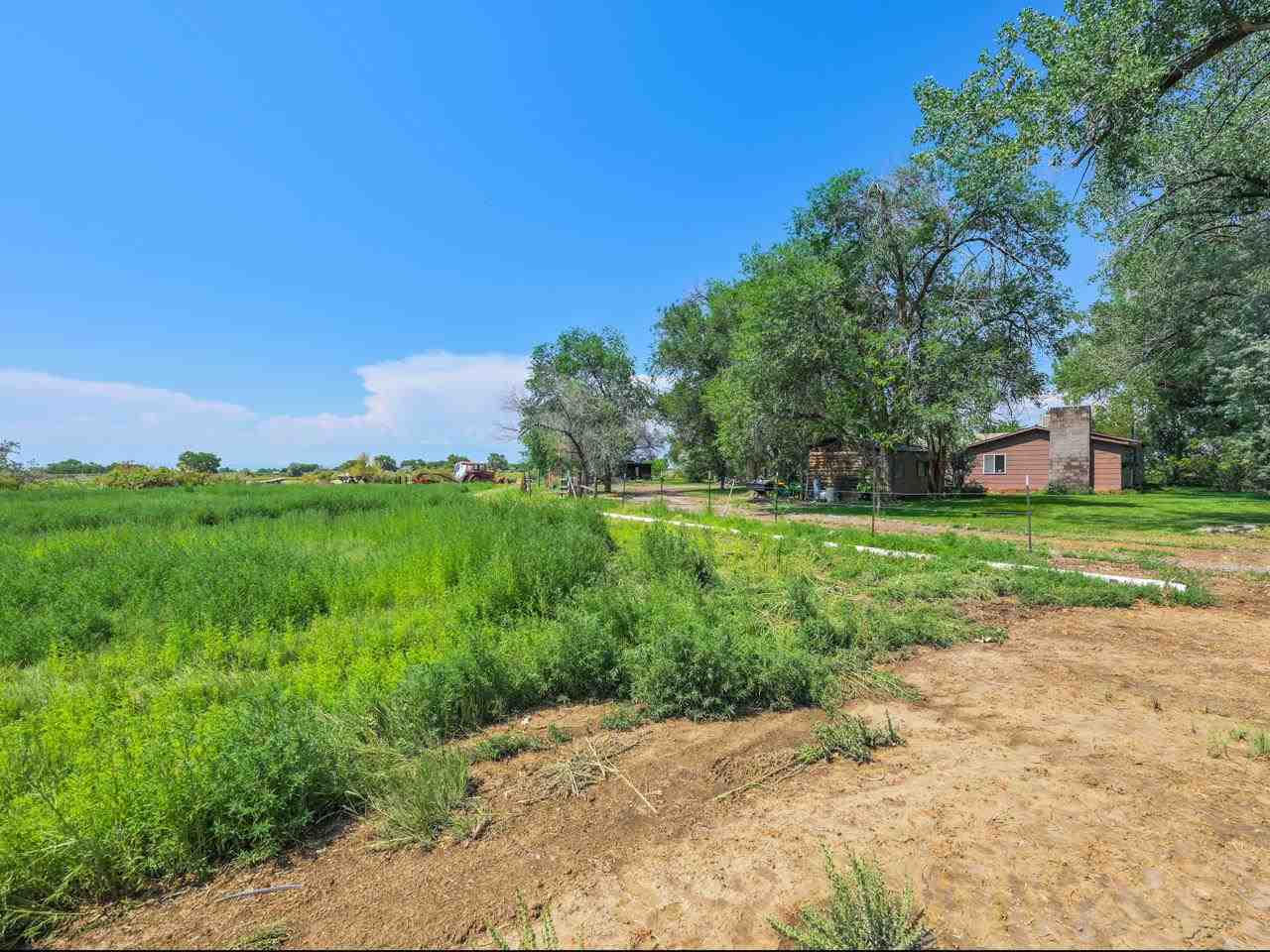943 21 Road Fruita, CO 81521 - Photo 24 of 32