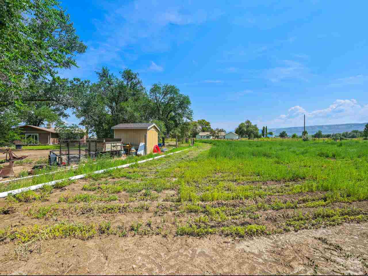 943 21 Road Fruita, CO 81521 - Photo 26 of 32