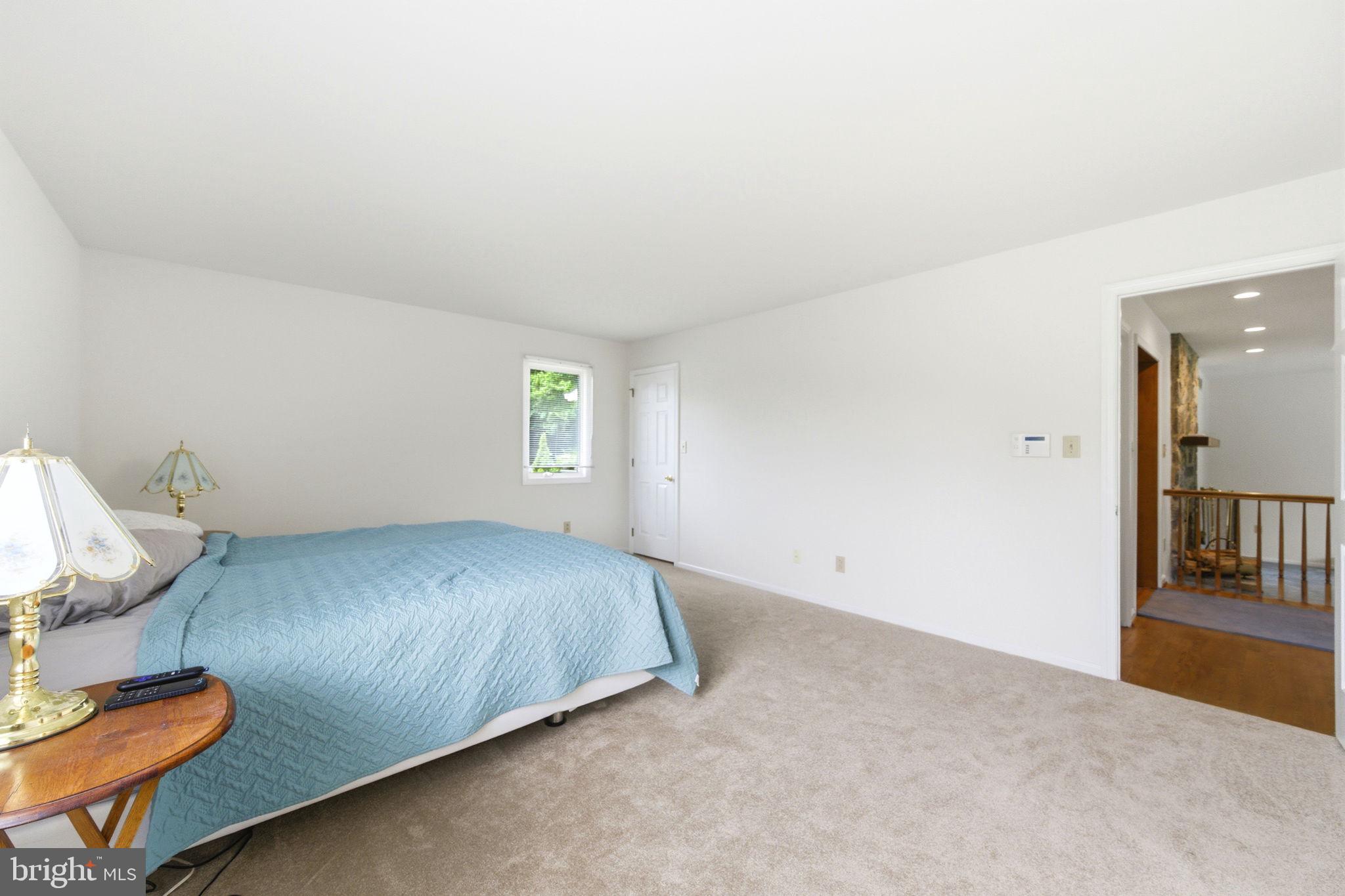 736 Letitia Drive Hockessin, DE 19707 - Photo 19 of 92 Main level primary suite