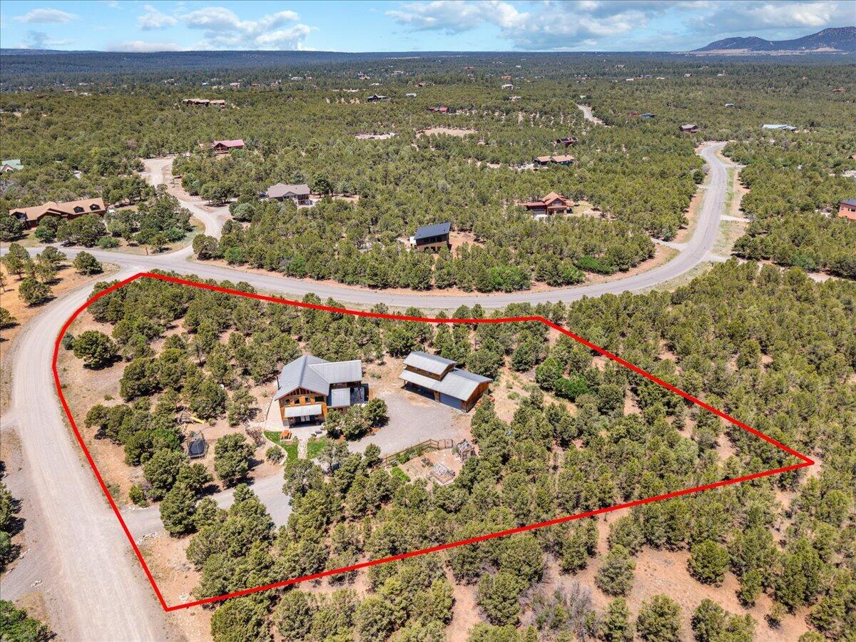 79 Cedar Lane East Ridgway, CO 81432 - Photo 54 of 55 63-DJI_20260622123646_0323_D-Edit