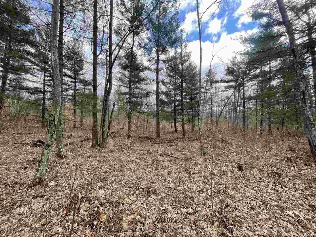 20 East A E Decker Rd Branch Branch, MI 49402 - Photo 4 of 31
