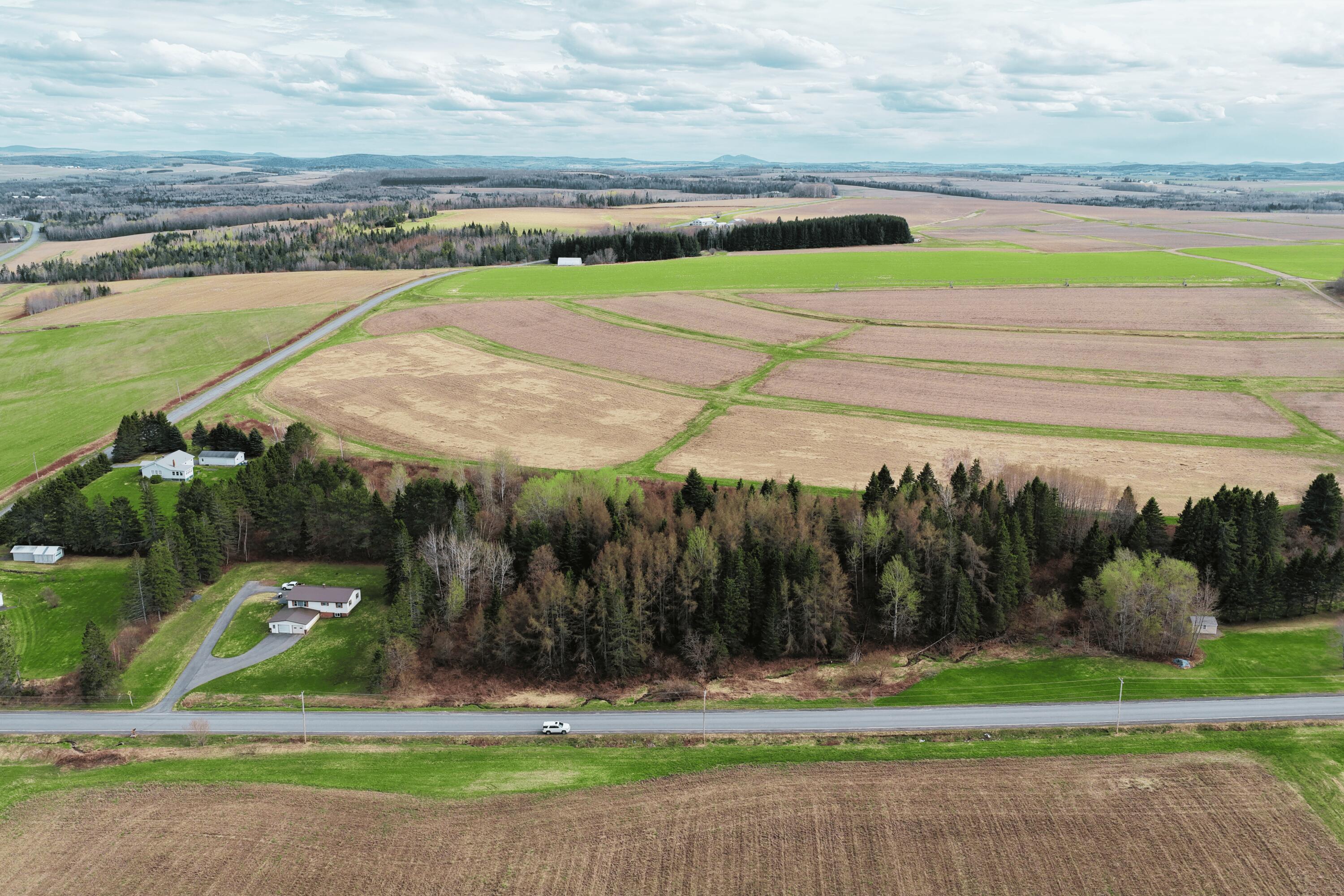 4 Acres (2)