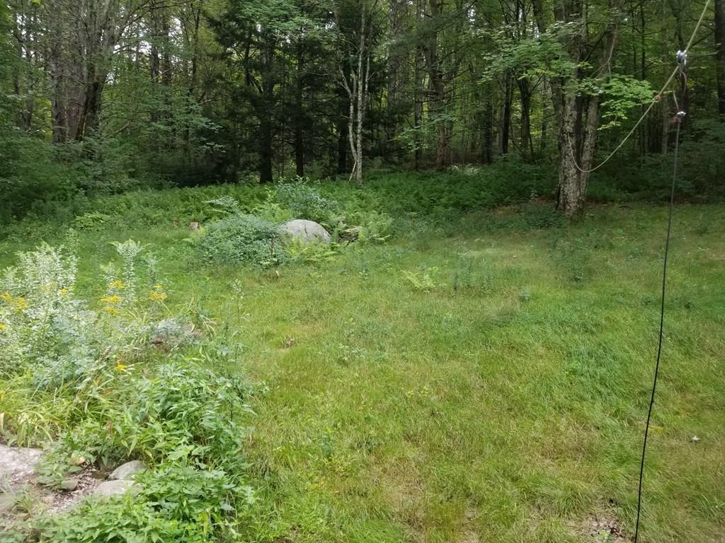 381 North Brookfield Road Barre, MA 01005 - Photo 23 of 23 a view of a lush green forest