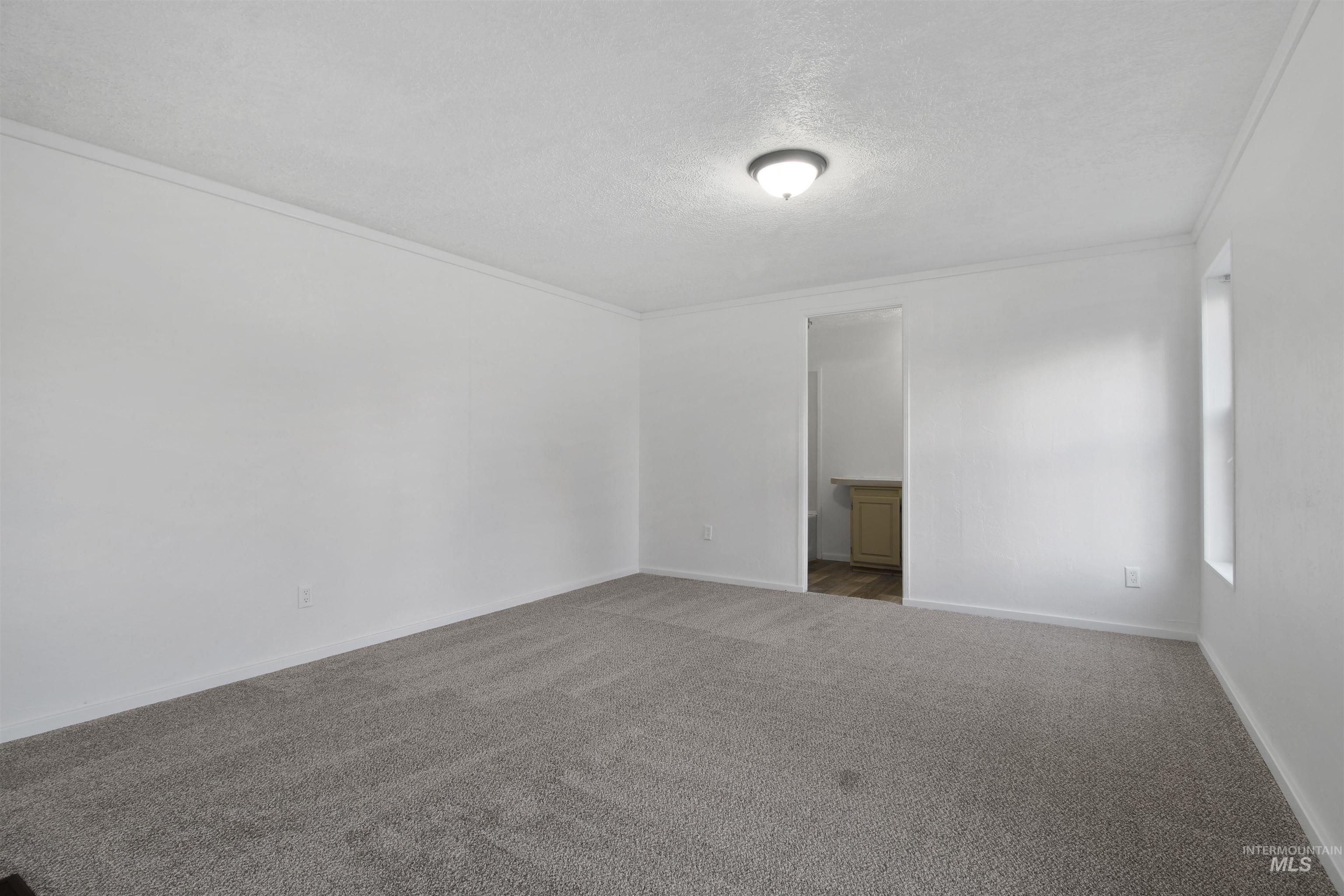 377 South 200 West, Unit 36 Rupert, ID 83350 - Photo 16 of 27 Spare room with a textured ceiling, crown molding, and carpet flooring