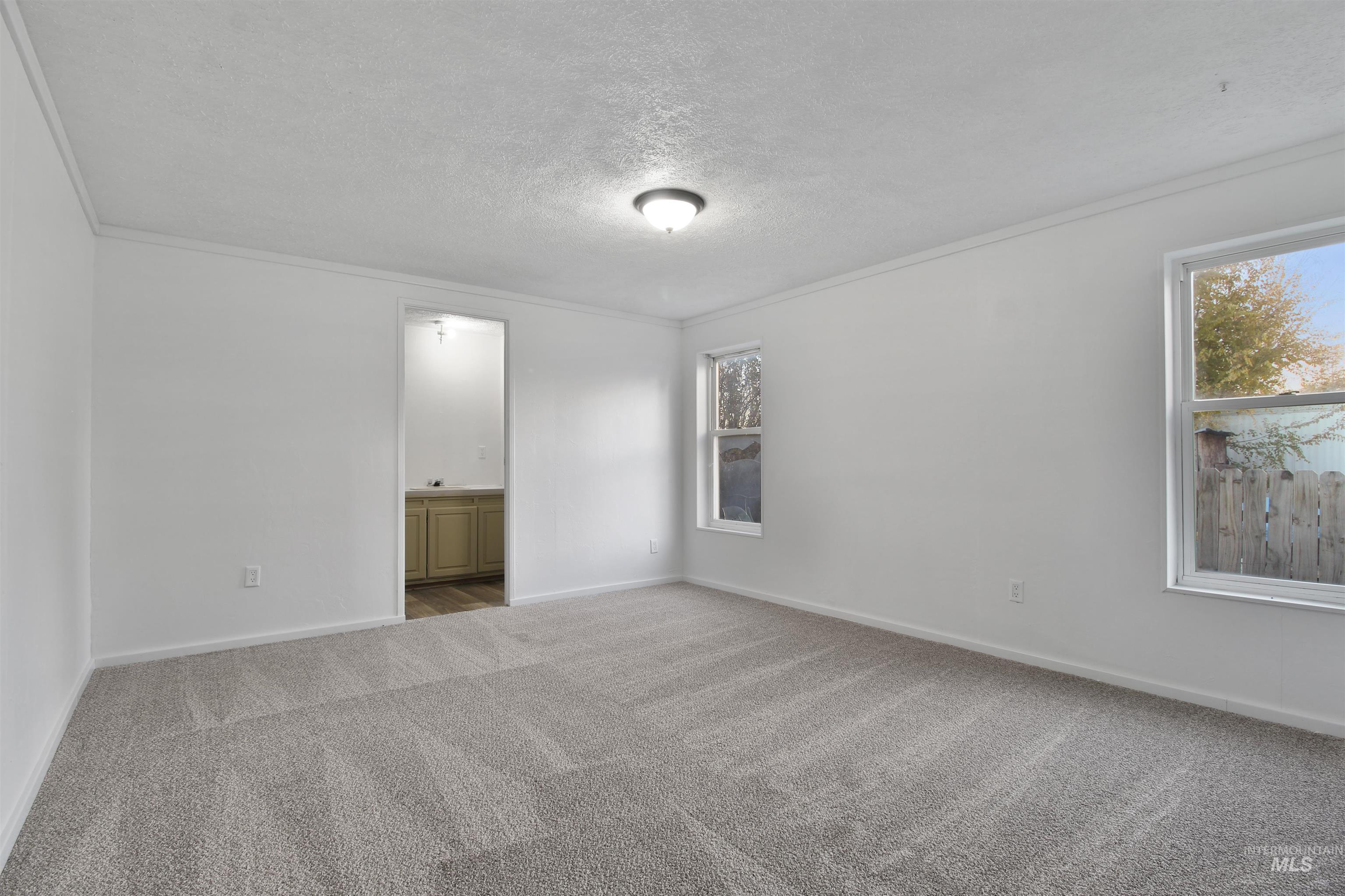 377 South 200 West, Unit 36 Rupert, ID 83350 - Photo 19 of 31 Spare room featuring crown molding, carpet flooring, a textured ceiling, and healthy amount of natural light