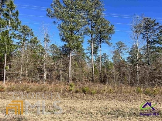 a view of a pathway with a tree