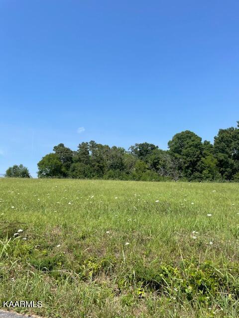 Oakview Lane Sevierville, TN 37876 - Photo 2 of 5 IMG_4107