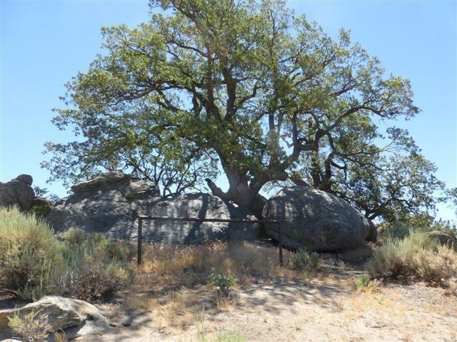 24981 Sunset Way Tehachapi, CA 93561 - Photo 2 of 4 Gallery Image 2