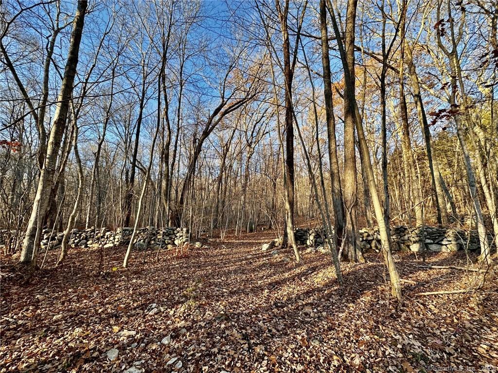 416 Hampton Road Chaplin, CT 06235 - Photo 1 of 1 a view of outdoor space with a tree