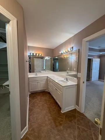 a bathroom with a sink a vanity and mirror