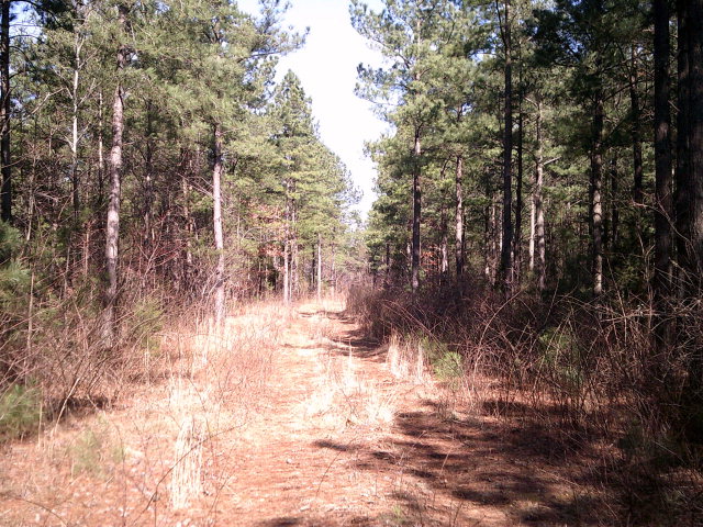 0 Holder Road Trenton, GA 30752 - Photo 9 of 12 Gallery Image 9