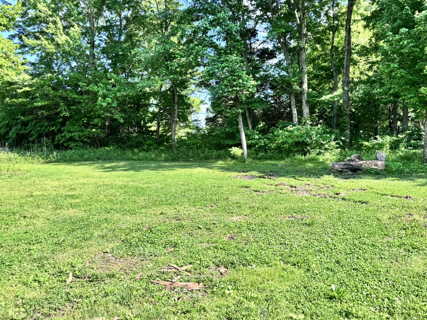 4372 Cartter Road Kell, IL 62853 - Photo 8 of 44