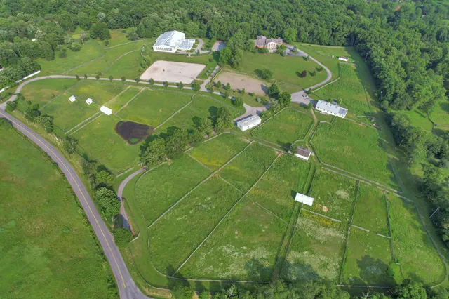 a green field with lots of trees in the background
