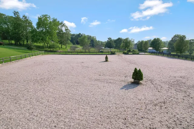 a view of outdoor space yard and entertaining space