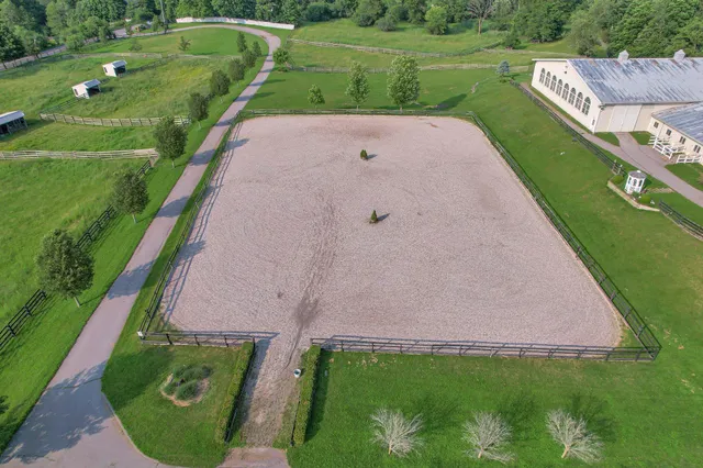 a view of a park with a yard