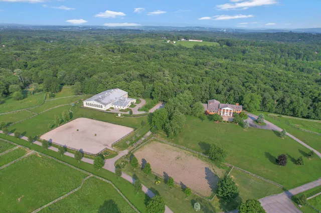 a view of a park with large trees