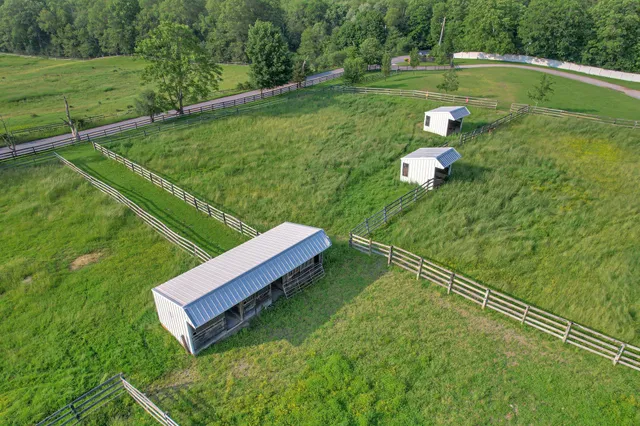 a view of a two chairs in a backyard