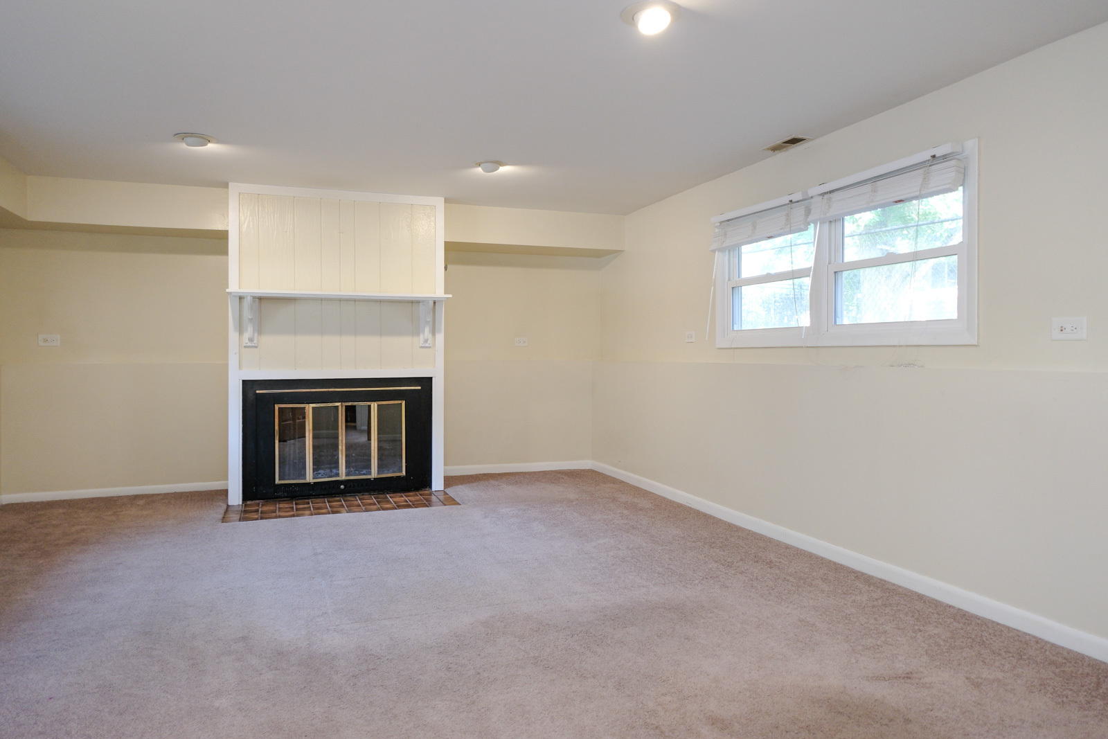 S586 East Street Winfield, IL 60190 - Photo 17 of 29 an empty room with fireplace and windows