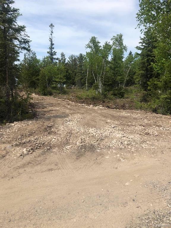 33882 South Dix Point Road Drummond Island, MI 49726 - Photo 17 of 19