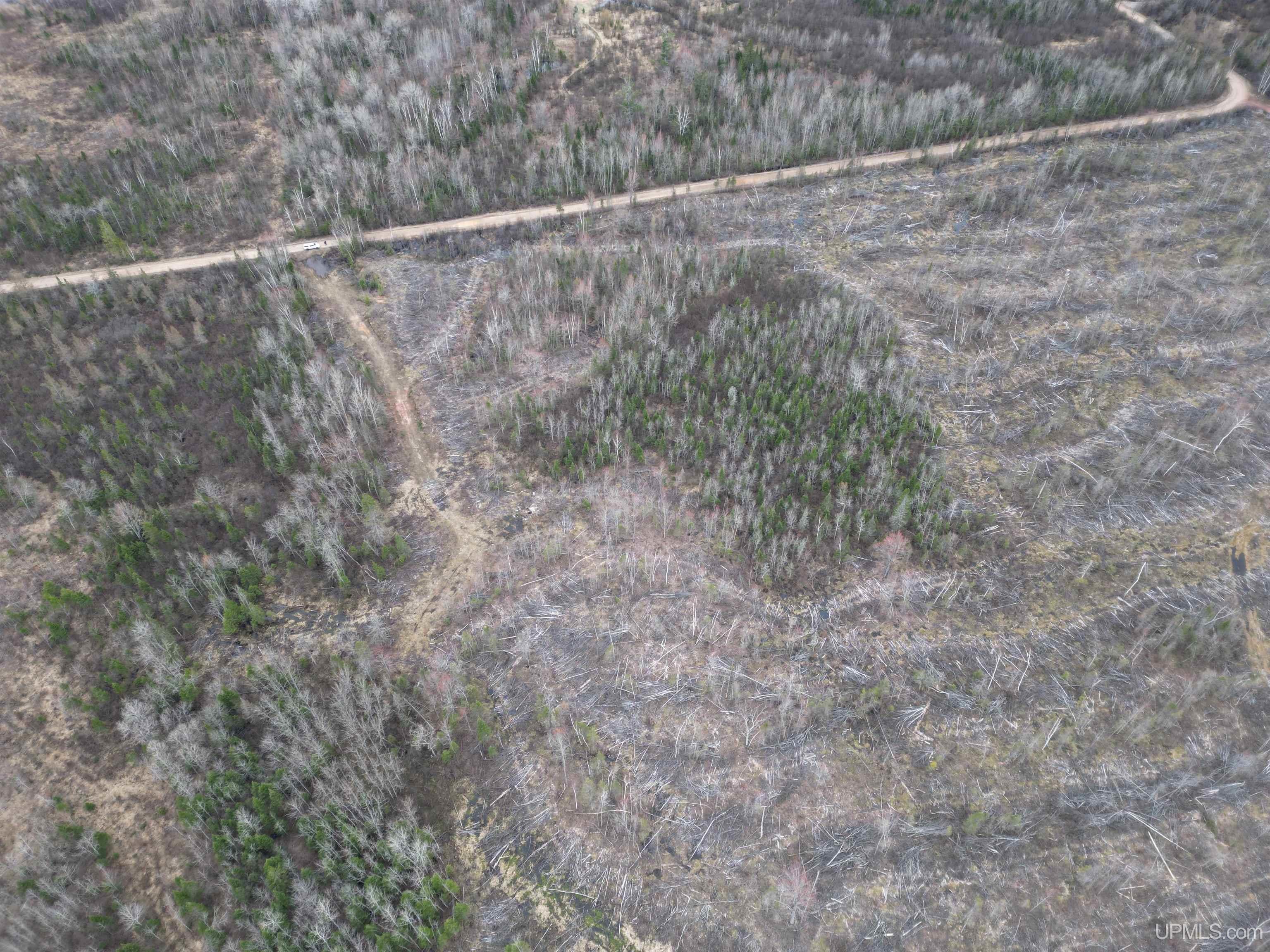 Tbd North Rock 38th Rd Sw 40 Road Rock, MI 49880 - Photo 20 of 29