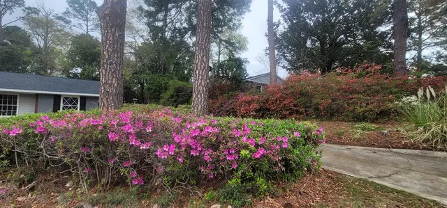 a view of a potted flower in a garden of a house