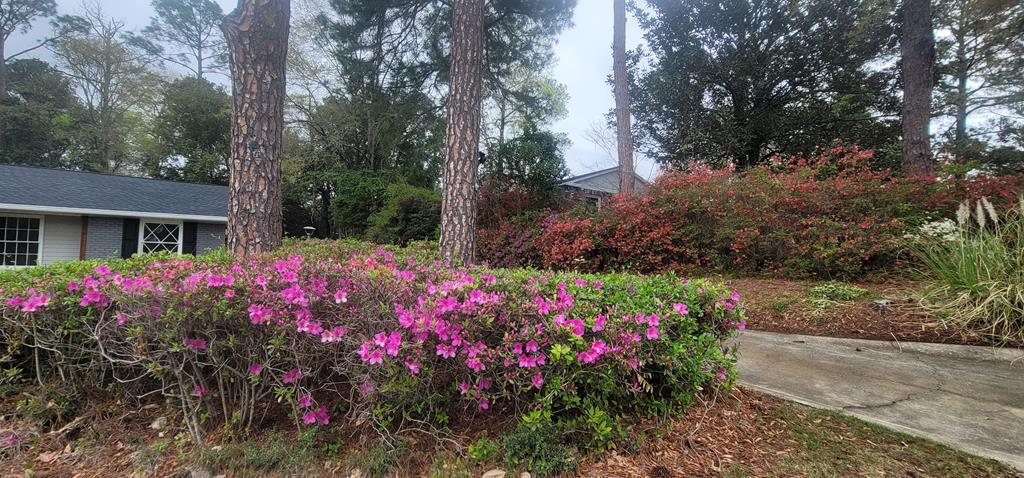 3327 College Avenue Columbus, GA 31907 - Photo 24 of 29 a view of a potted flower in a garden of a house