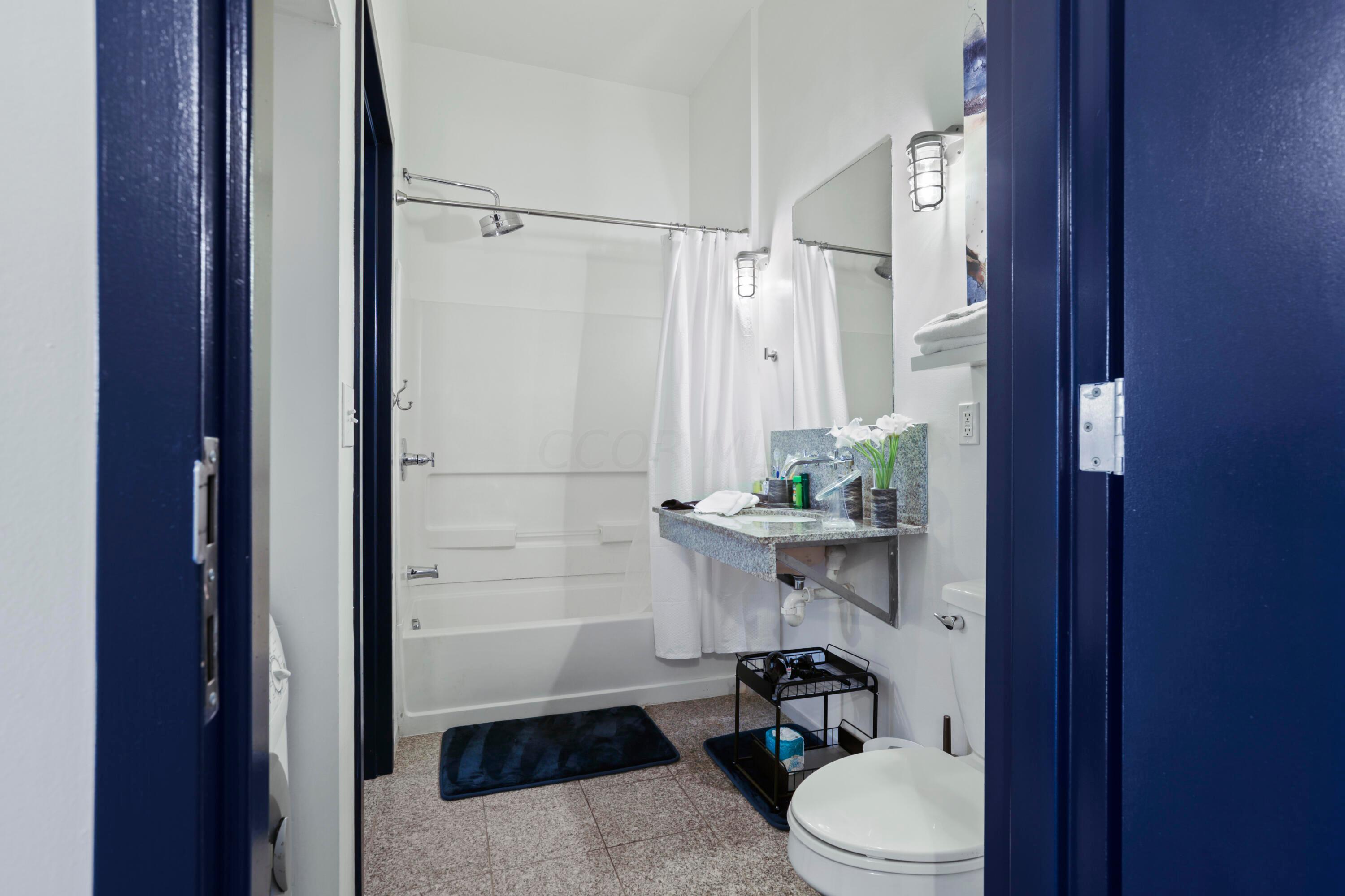 60 East Spring Street, Unit 105 Columbus, OH 43215 - Photo 11 of 30 Full Bath