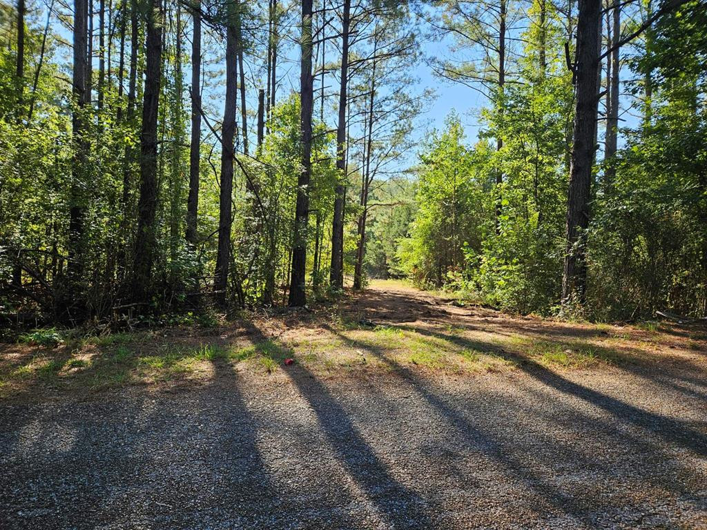2178 New Zion Road Utica, MS 39175 - Photo 1 of 9 Main View