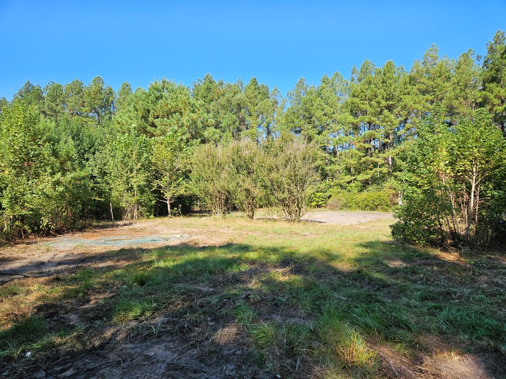 2178 New Zion Road Utica, MS 39175 - Photo 3 of 9 Photo 3